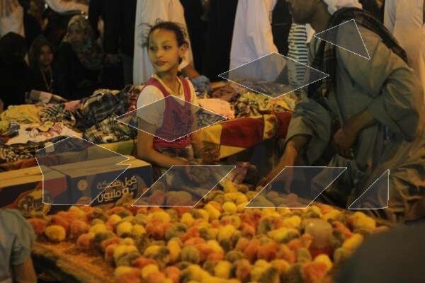 Street Vendors Selling Hab El Aziz and Toy Chicks at a Traditional Mawlid – Cairo, Egypt