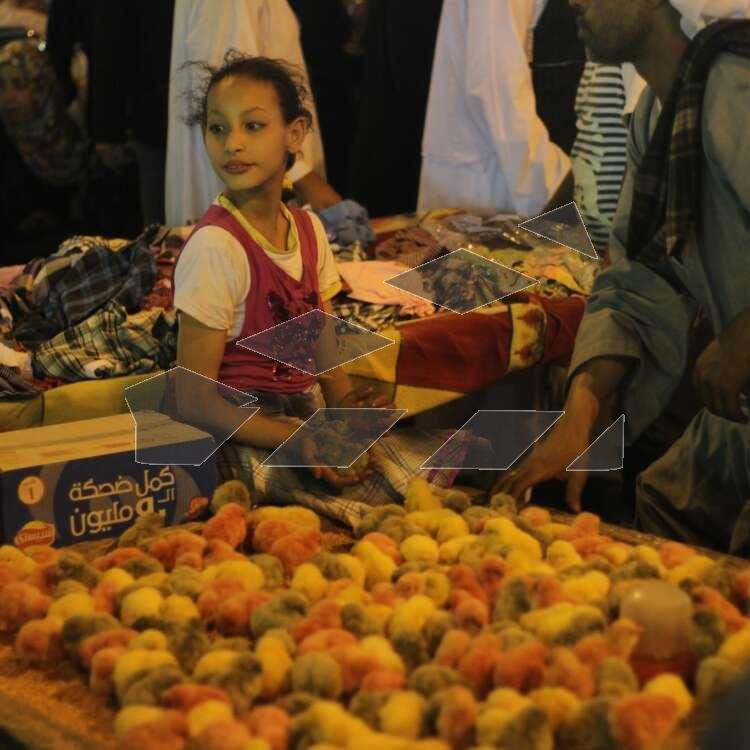Street Vendors Selling Hab El Aziz and Toy Chicks at a Traditional Mawlid – Cairo, Egypt