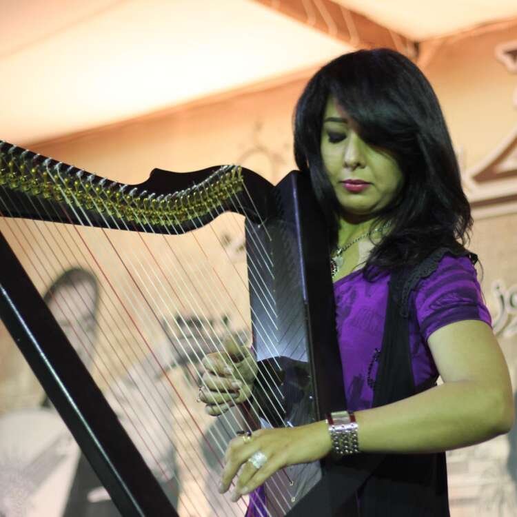 Portrait of a Girl Playing the Harp – Music and Grace in Harmony