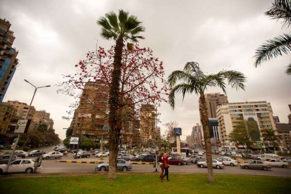Urban Pond Surrounded by Tall Buildings in Cairo