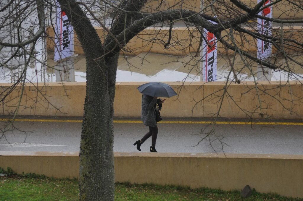 
									Woman Walking with Umbrella on Cairo Street