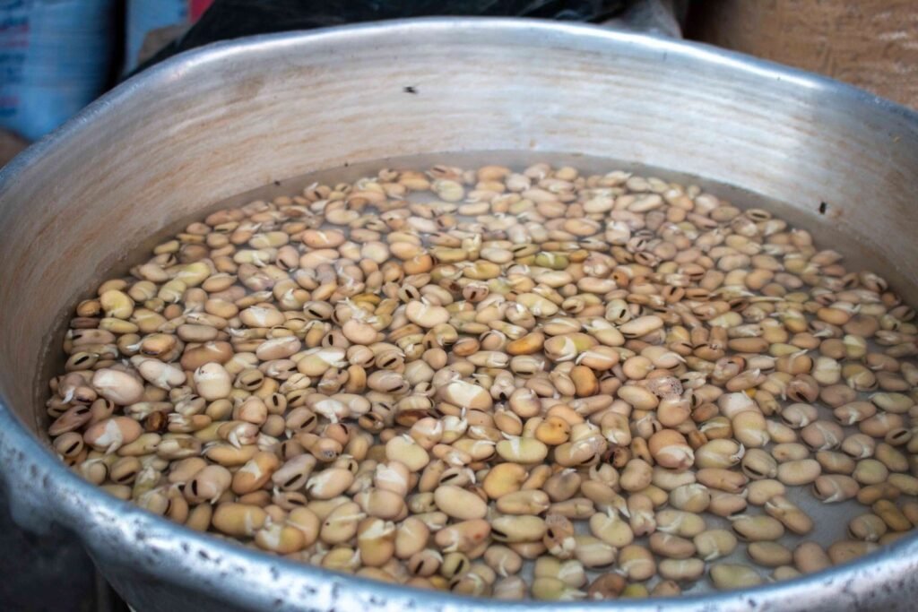 Traditional Aluminum Pot with Sprouted Beans – Al-Ashraf Street, Cairo 2017