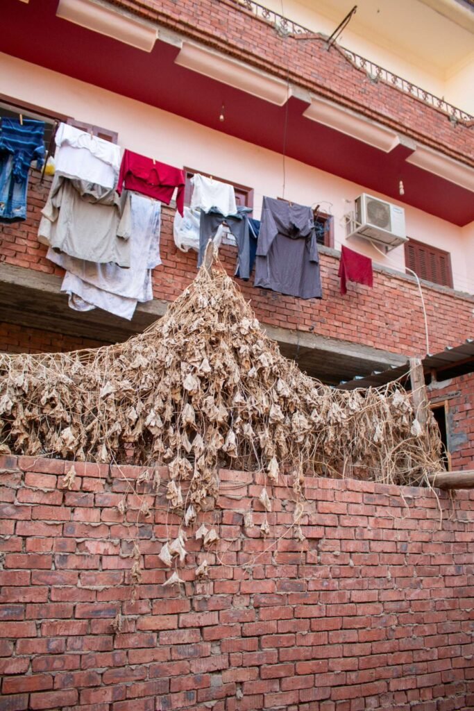 Contrast of Old and New Houses in Egypt