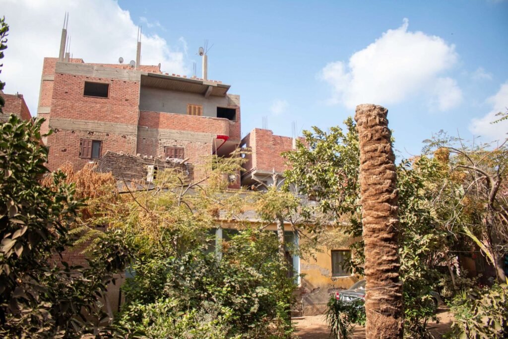 Contrast of Old and New Houses in Egypt