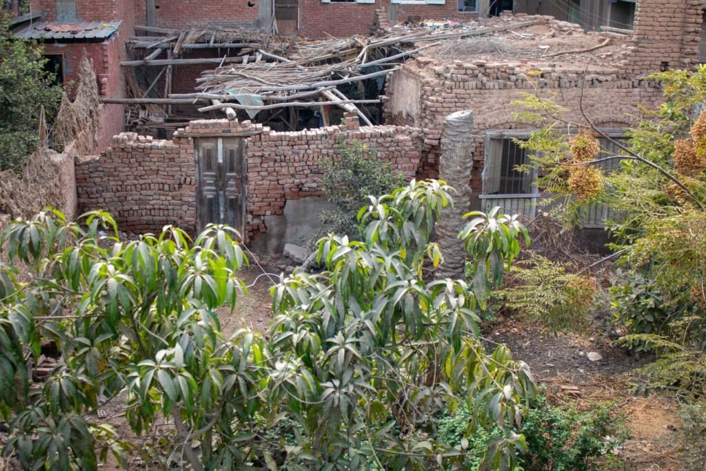 Traditional Mud-Brick Houses in Old Egyptian Villages