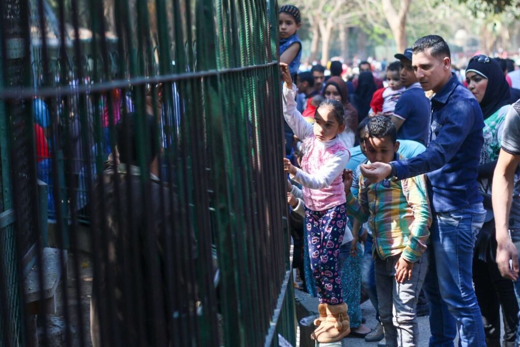 A Scene from Giza Zoo During Eid al-Fitr 2017 4