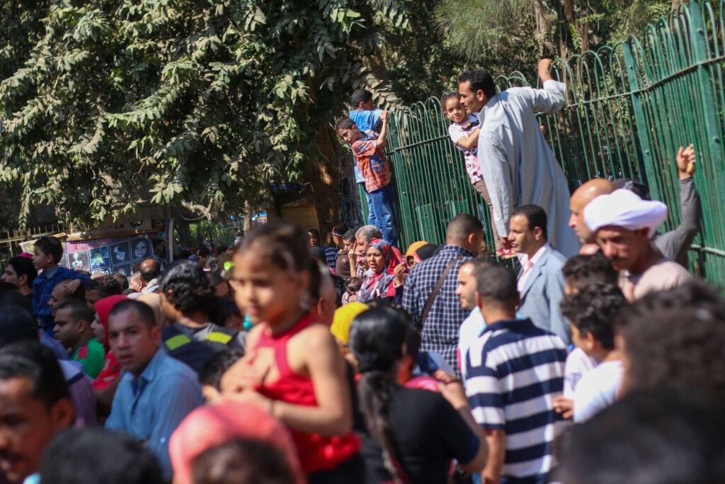A Scene from Giza Zoo During Eid al-Fitr 2017 2