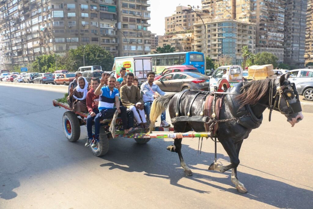Horse-Drawn Cart with Joyful Men in Cairo Street