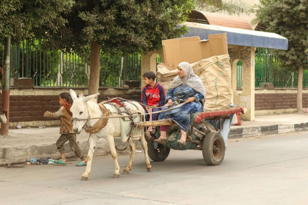 Mother and Son Riding a Cart in Cairo
