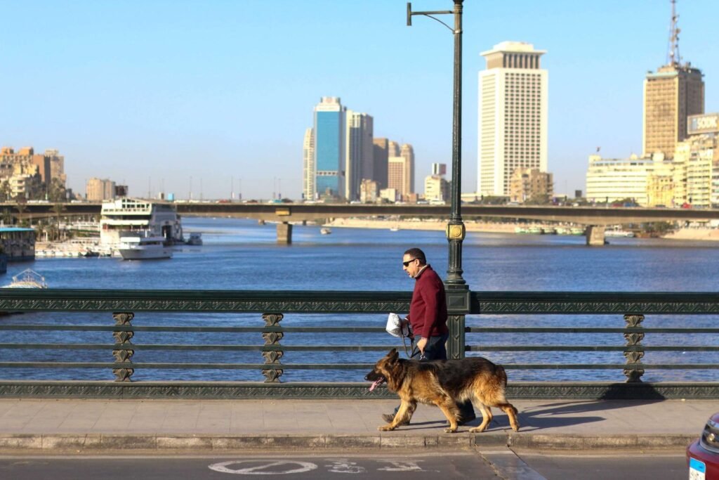 Man Walking His Dog on Qasr El Nil Bridge – Cairo Winter 2017