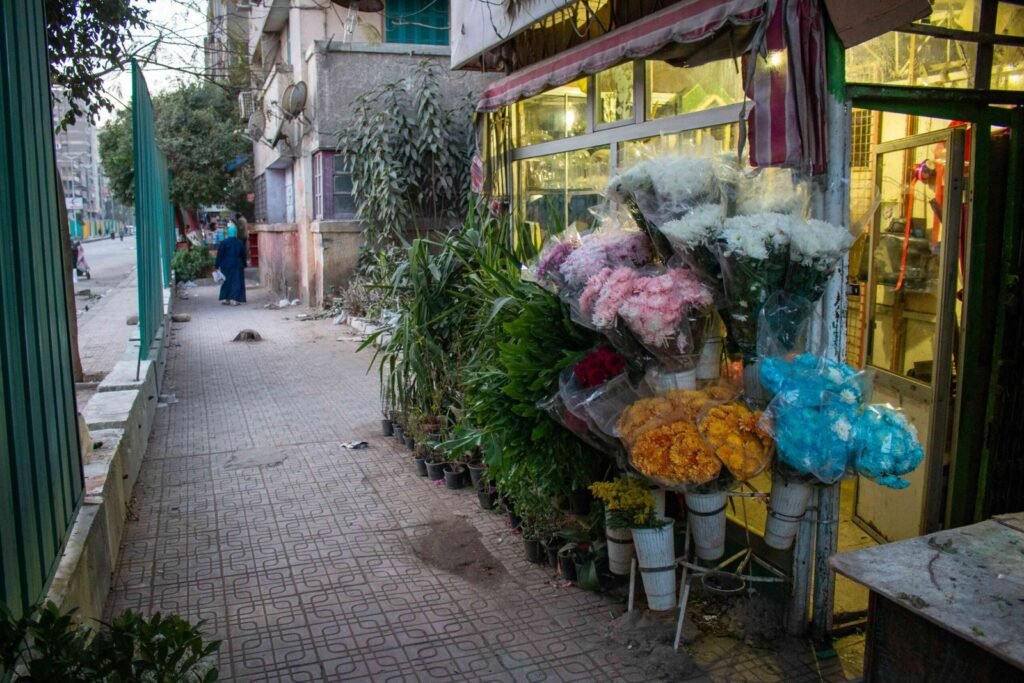 Flower Shop on Sudan Street – Cairo 2017 3