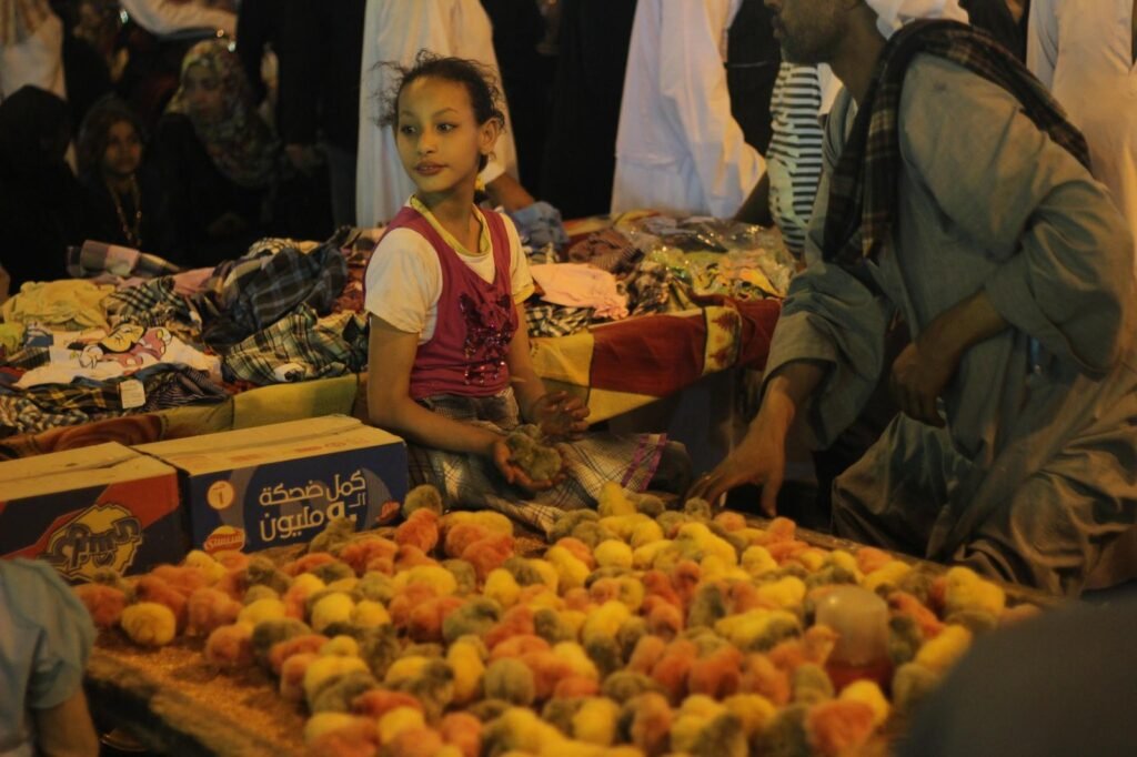 Street Vendors Selling Toy Chicks at a Traditional Mawlid – Cairo, Egypt